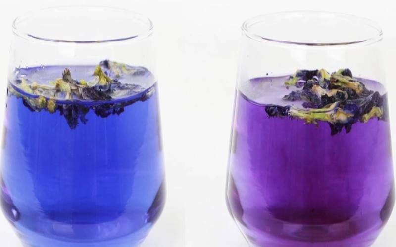 Butterfly pea flower