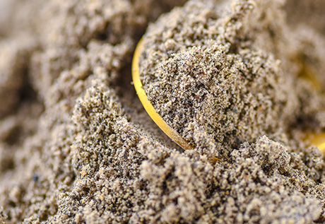 AGOLYN walnut kernel power