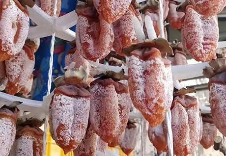 AGOLYN fresh persimmon