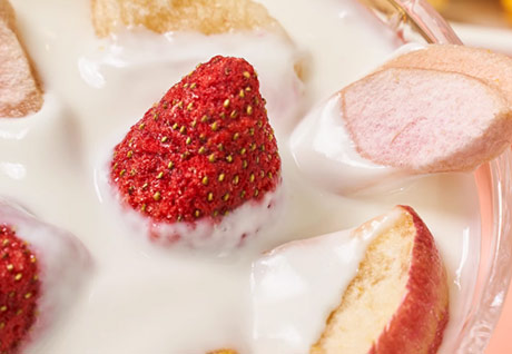 AGOLYN freeze dried strawberry fruit yogurt