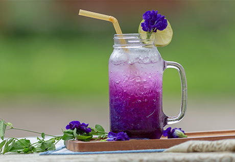 AGOLYN butterfly pea flower flavor drink