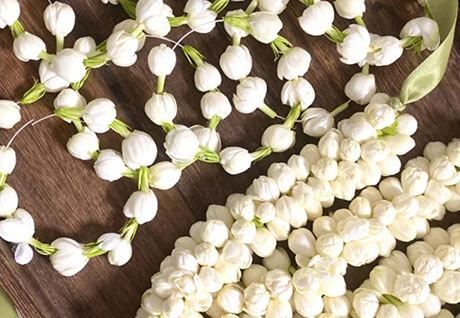 AGOLYN jasmine decorate