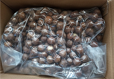 AGOLYN macadamia nuts Bulk package 