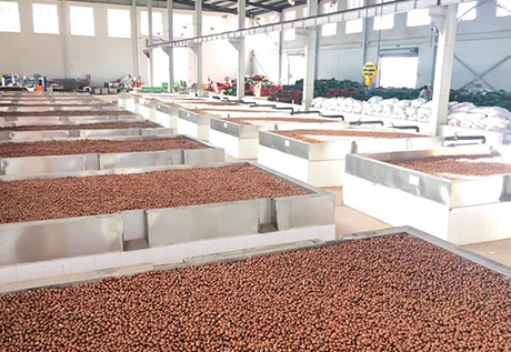 AGOLYN macadamia nuts factory