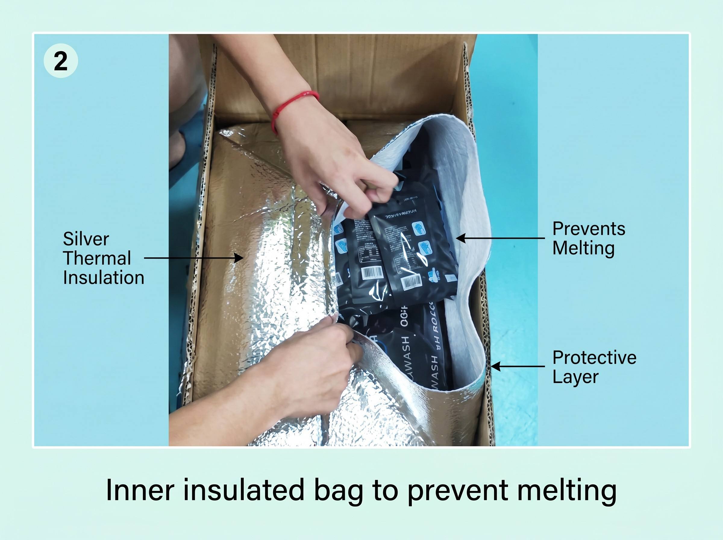 Inner Insulated Bag